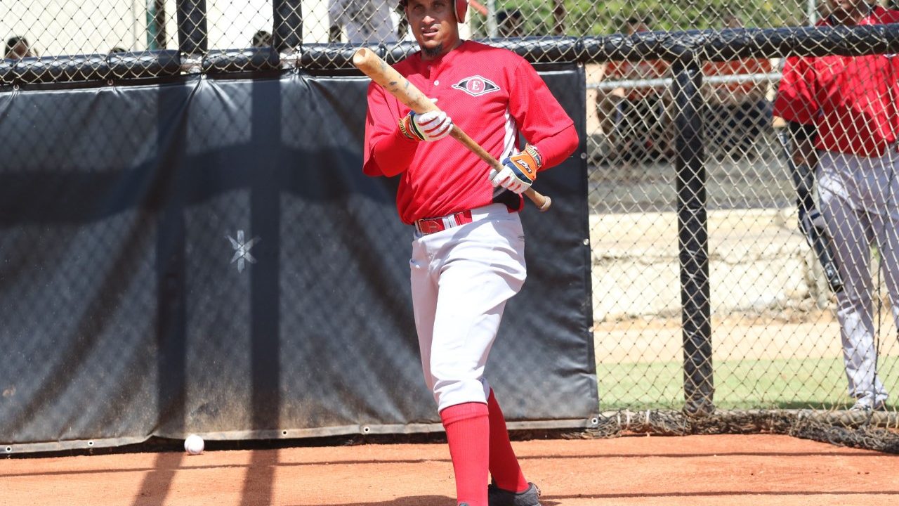 Baseball Programs in the DR That Offer Scholarships and Growth